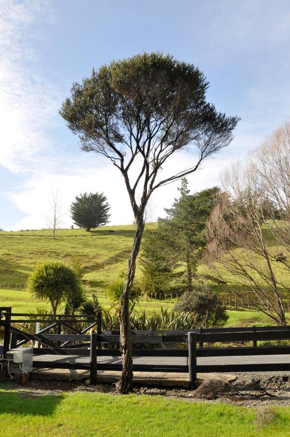Matapouri & Tutukaka Spectacular Coastal Views- Aroha Luxury Guest Suite Bagian luar foto